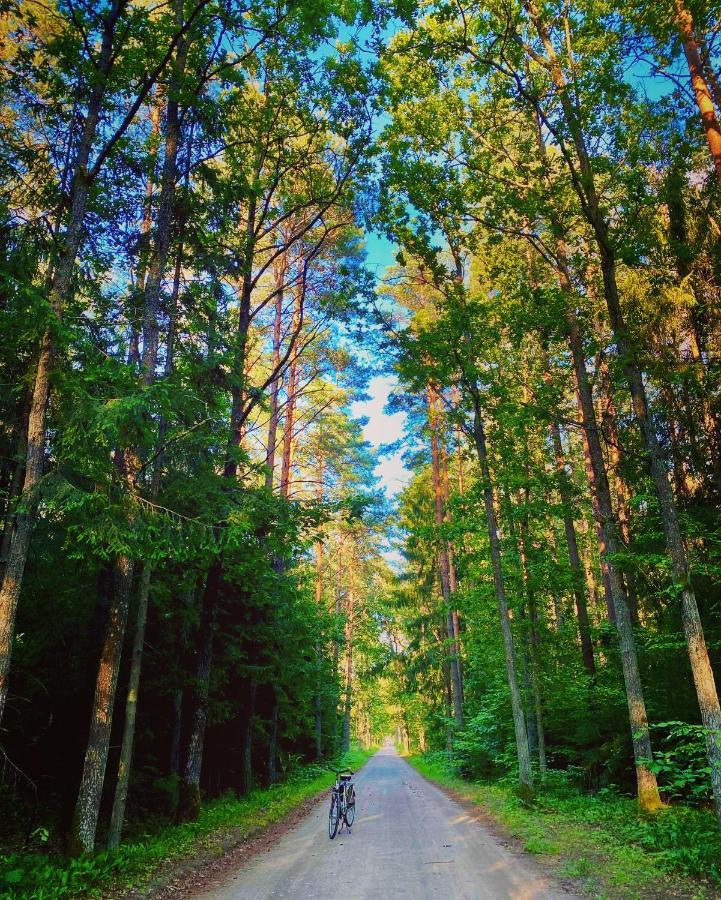 Magia Puszczy Z Widokiem Na Puszcze Bialowieska Apartment Hajnowka