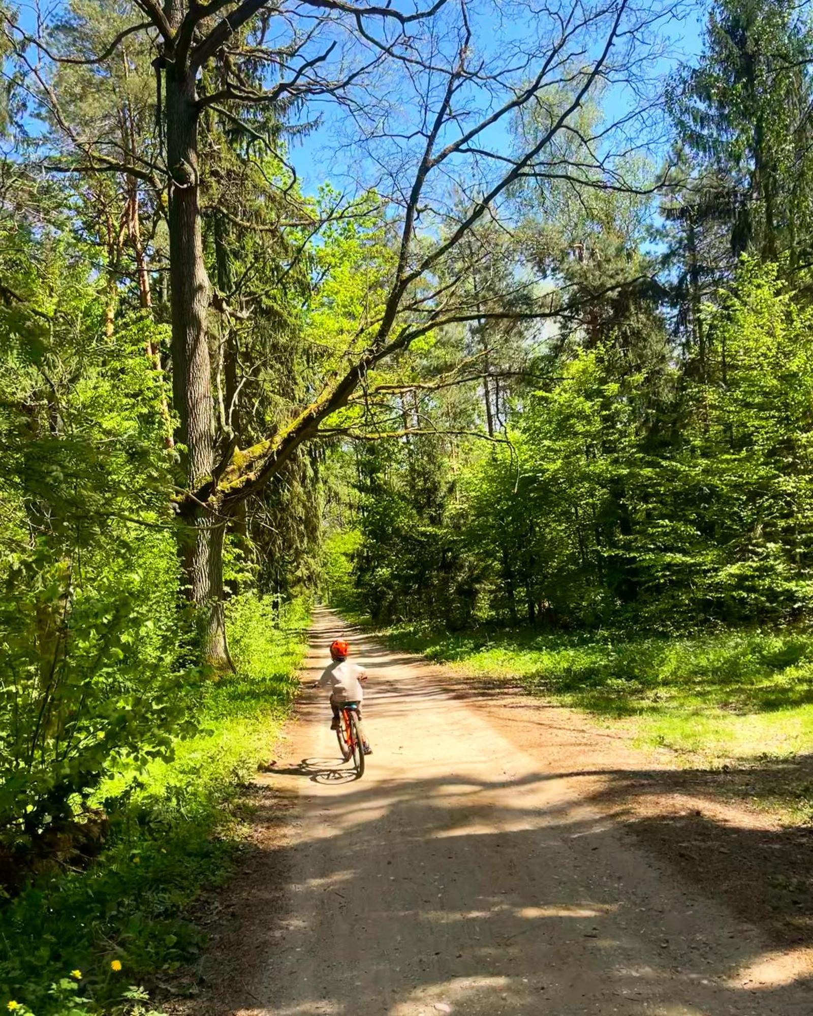 Magia Puszczy Z Widokiem Na Puszcze Bialowieska *