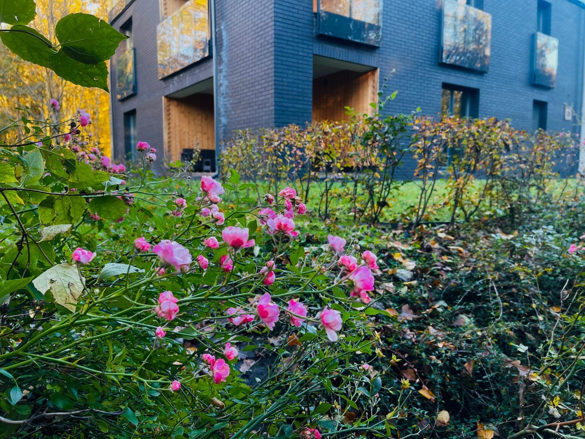 Magia Puszczy Z Widokiem Na Puszcze Bialowieska Apartment